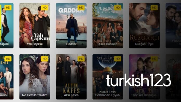 Turkish123: An In-Depth Look at a Popular Turkish Series Streaming Platform